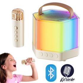 Enceinte Karaoké avec éclairage RVB et microphones sans fil – مكبر صوت كاريوكي